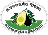 Avocado Tom